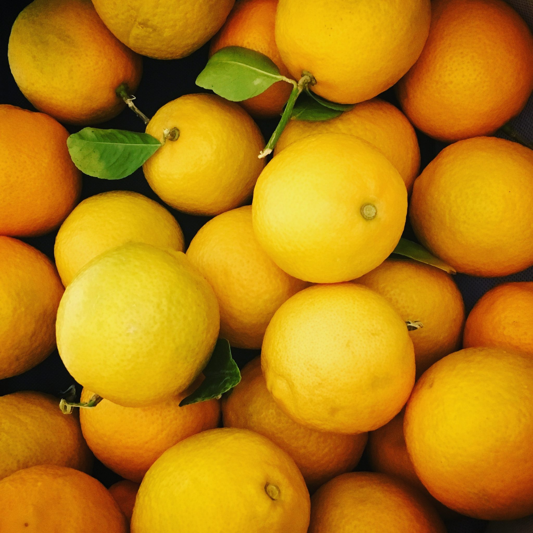 Carbohydrates in citrus